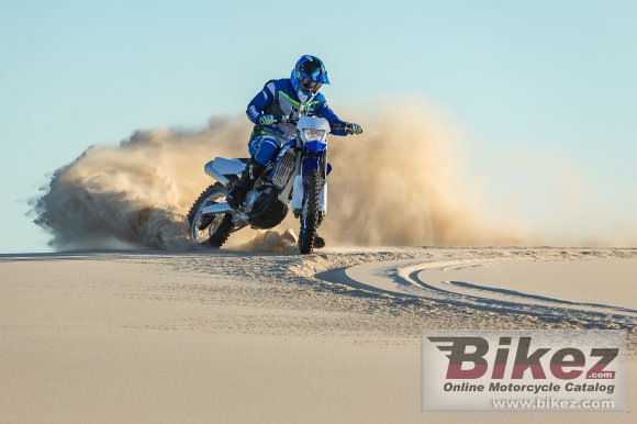 2019 Yamaha WR450F