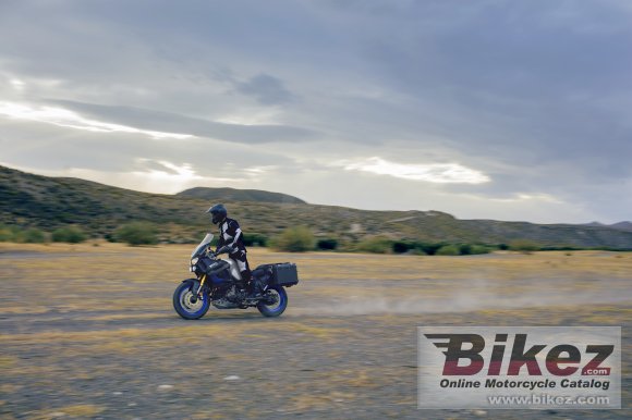 2019 Yamaha XT1200ZE Super Tenere Raid
