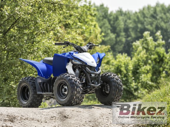 2019 Yamaha YFZ50