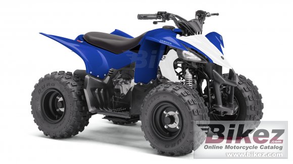 2019 Yamaha YFZ50