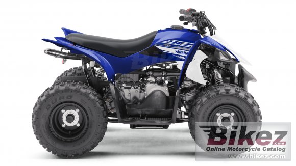 2019 Yamaha YFZ50