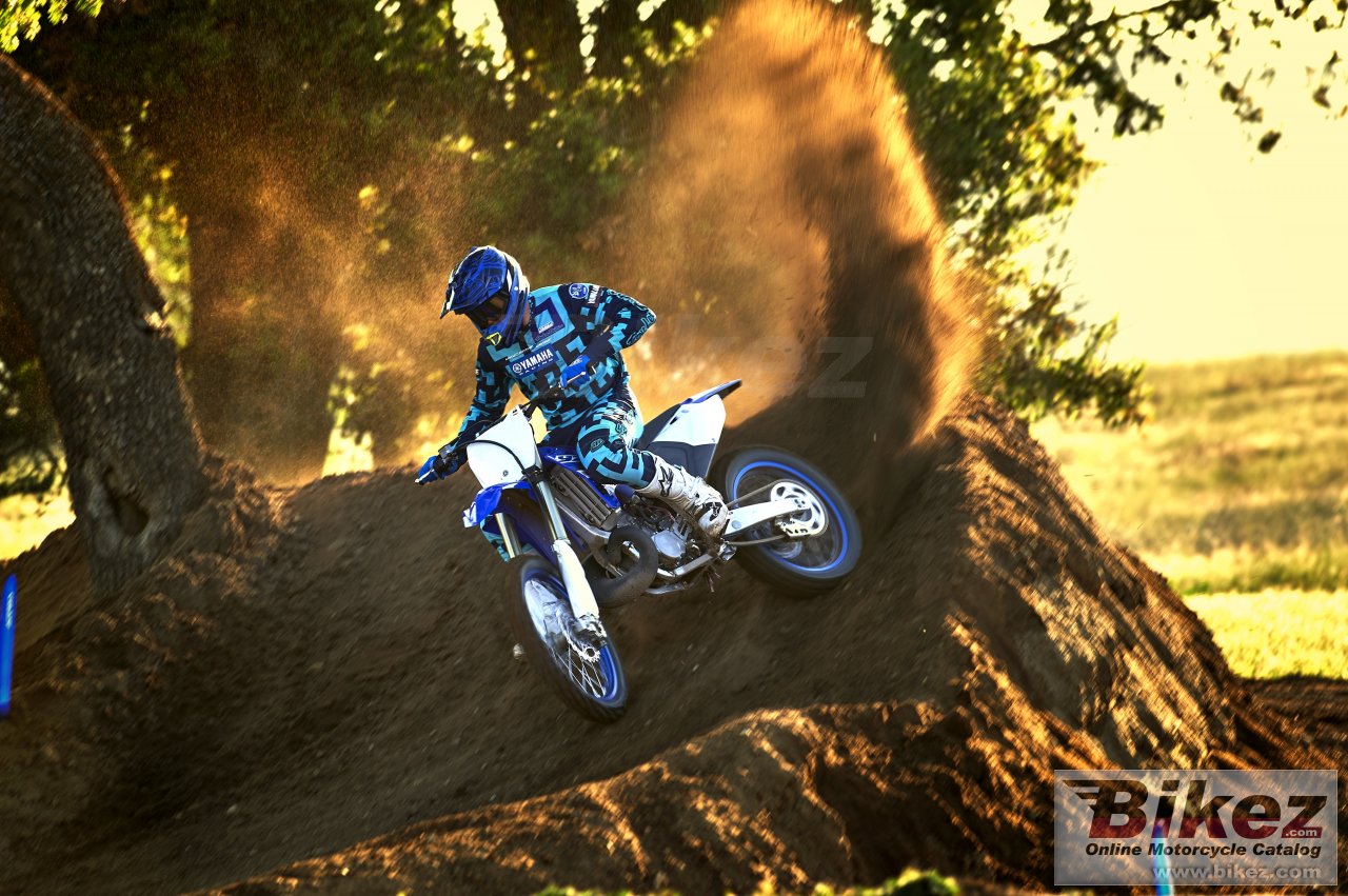 Yamaha YZ250