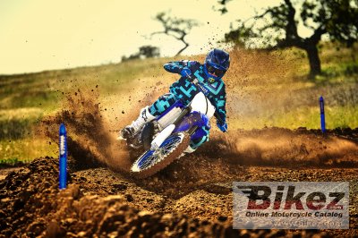 2019 Yamaha YZ250
