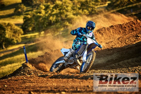 2019 Yamaha YZ250