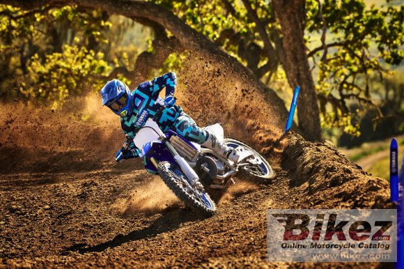 2019 Yamaha YZ250