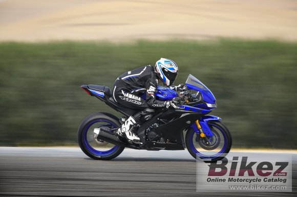 2019 Yamaha YZF-R125