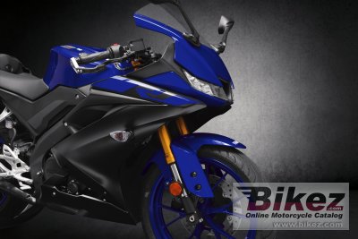 2019 Yamaha YZF-R125