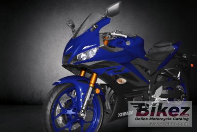 2019 Yamaha YZF-R3
