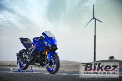 2019 Yamaha YZF-R3