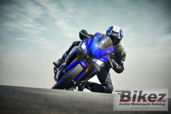 2019 Yamaha YZF-R3