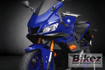 2019 Yamaha YZF-R3