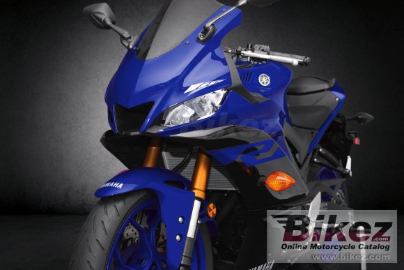 2019 Yamaha YZF-R3