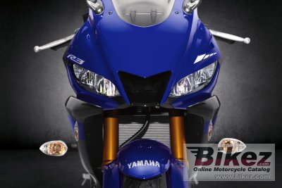 2019 Yamaha YZF-R3