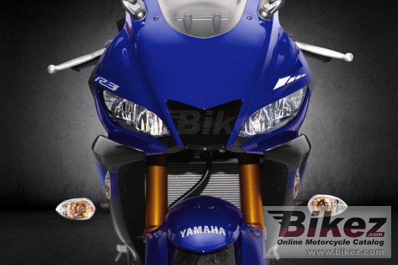 2019 Yamaha YZF-R3