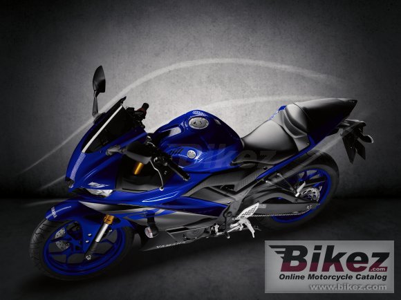 2019 Yamaha YZF-R3