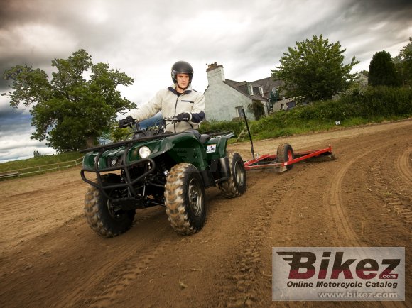 2019 Yamaha Grizzly 350 2WD