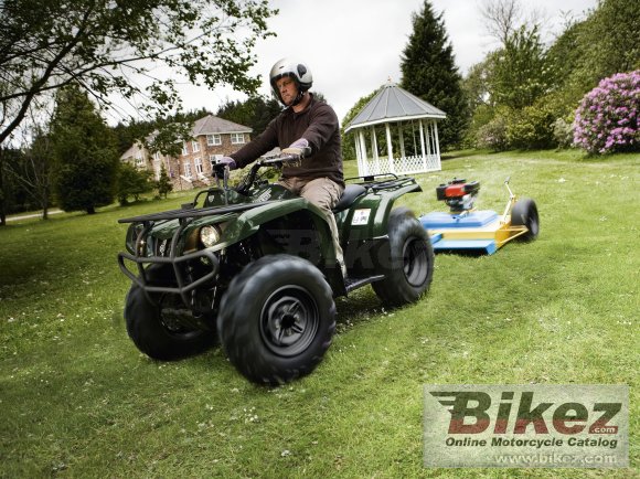 2019 Yamaha Grizzly 350 2WD