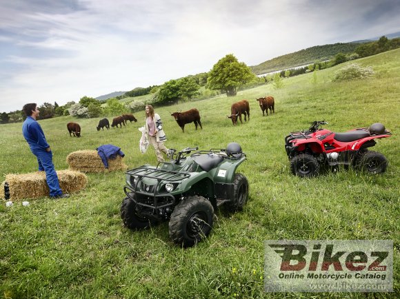 2019 Yamaha Grizzly 350 4WD