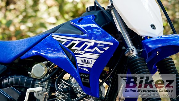 2019 Yamaha TTR110
