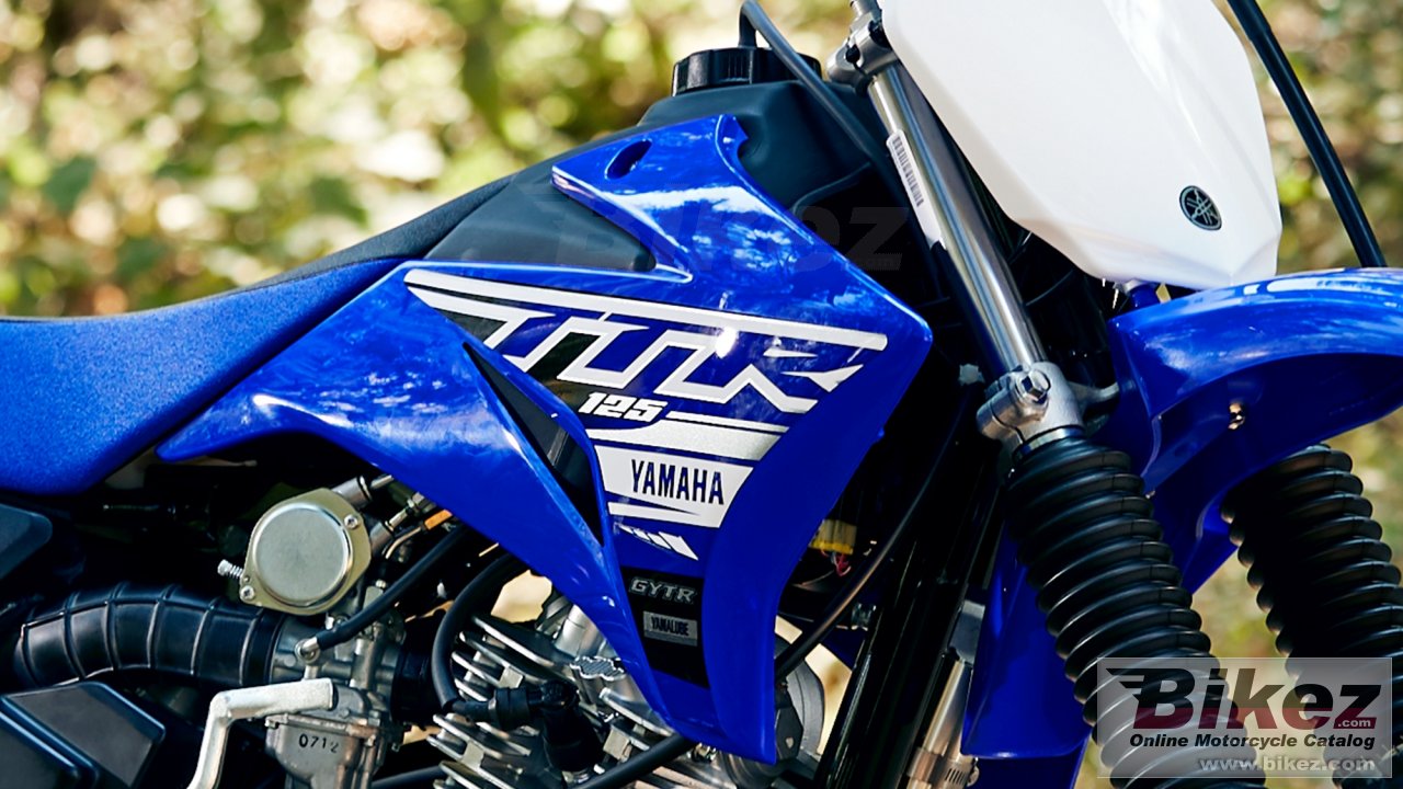 Yamaha TTR110