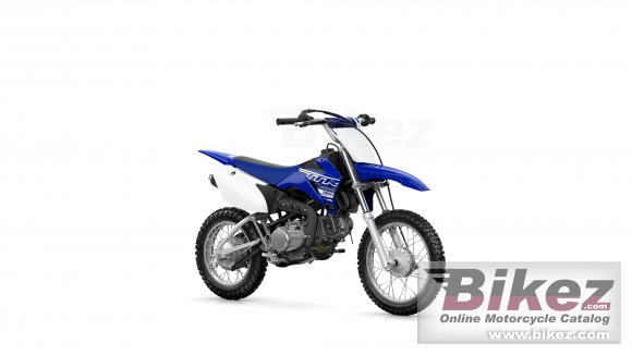 2019 Yamaha TTR110