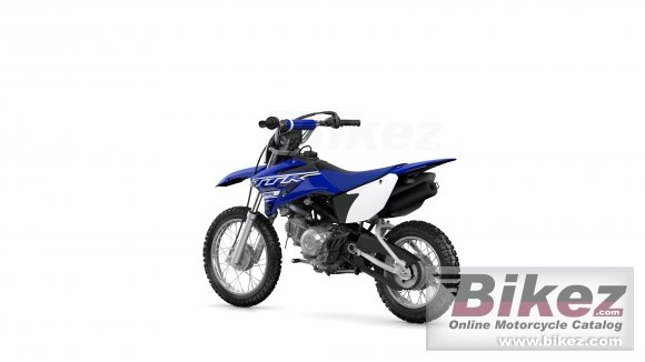 2019 Yamaha TTR110