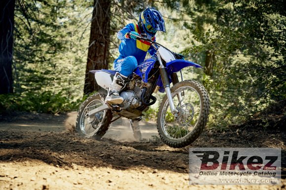 2019 Yamaha TTR125LWE