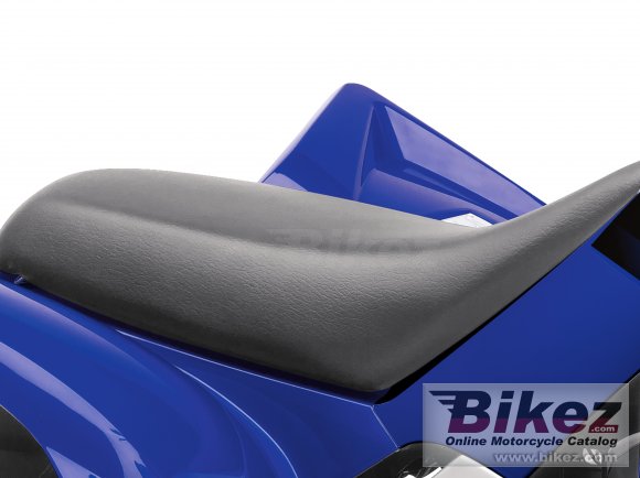 2019 Yamaha YFM90