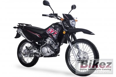 2019 Yamaha XTZ 125