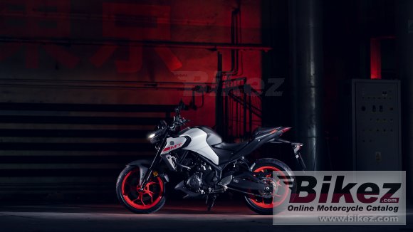 2020 Yamaha MT-03