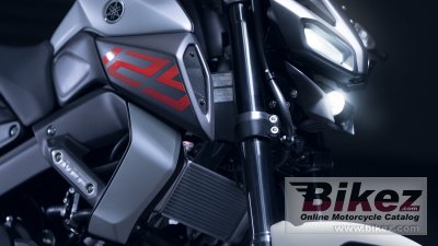 2020 Yamaha MT125