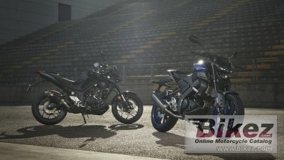 2020 Yamaha MT-10