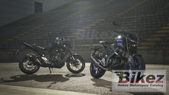 2020 Yamaha MT-10