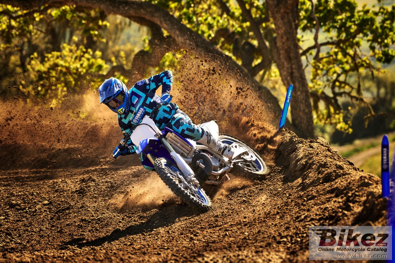 Yamaha YZ250