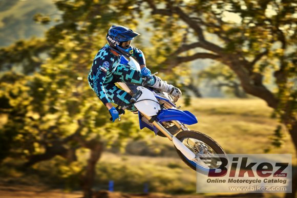 2020 Yamaha YZ250