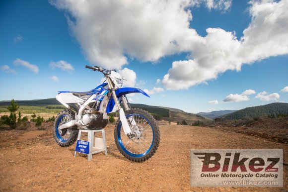 2020 Yamaha WR250F