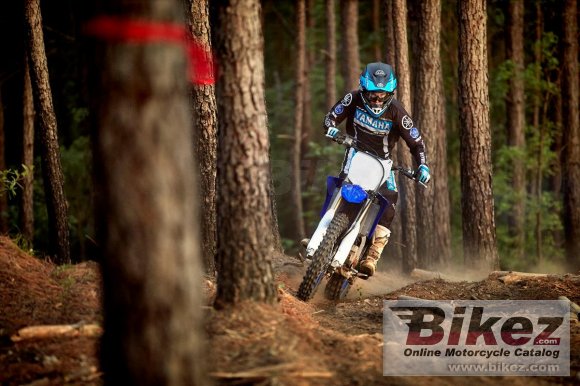 2020 Yamaha YZ125X