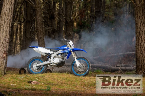 2020 Yamaha WR450F