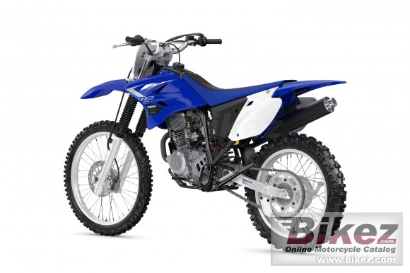 2020 Yamaha TT-R230