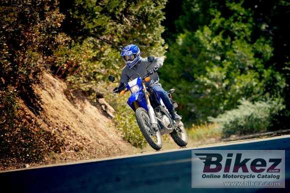 2020 Yamaha WR250R