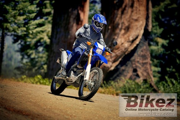 2020 Yamaha WR250R