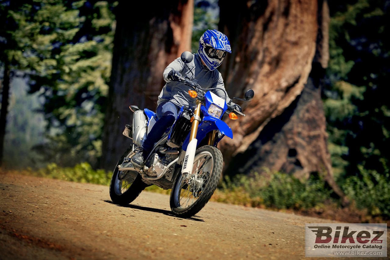 Yamaha WR250R