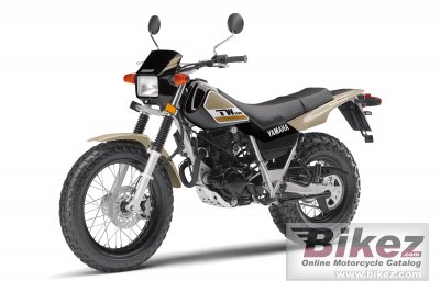 2020 Yamaha TW200