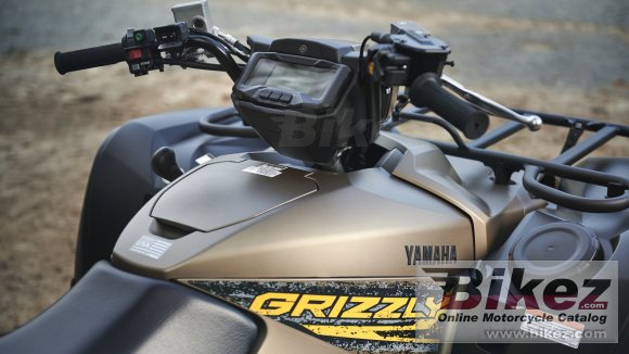 2020 Yamaha Grizzly EPS SE