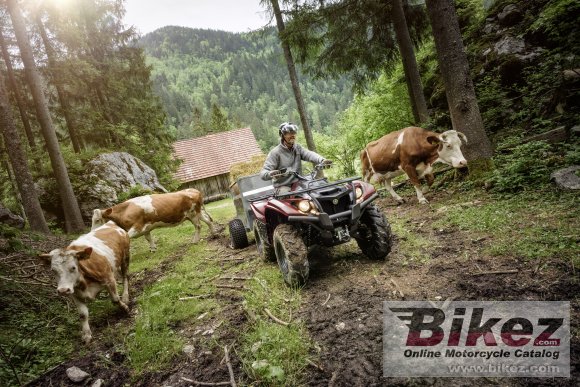 2020 Yamaha Kodiak 700