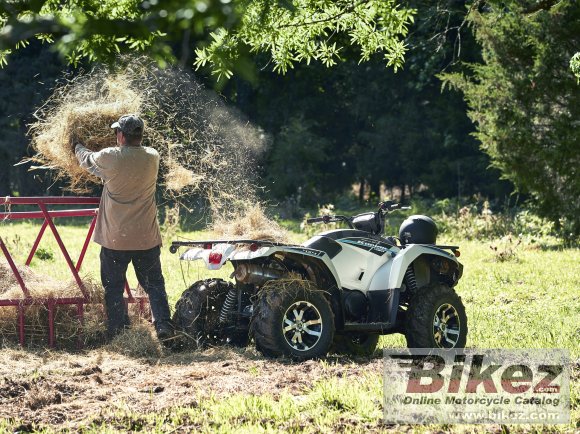 2020 Yamaha Kodiak 450 EPS SE