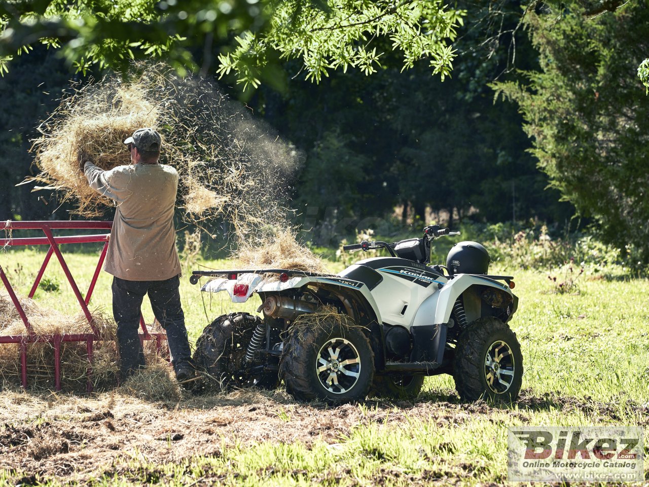 Yamaha Kodiak 450 EPS SE