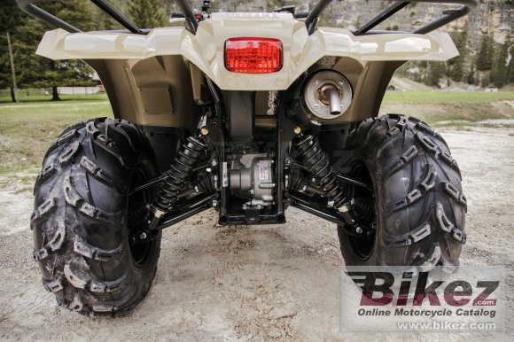 2020 Yamaha Kodiak 450 EPS DL