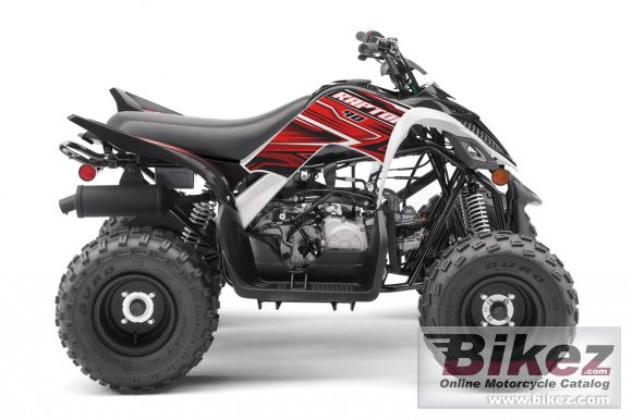 2020 Yamaha Raptor 90