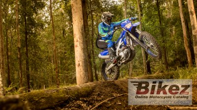 2021 Yamaha WR450F